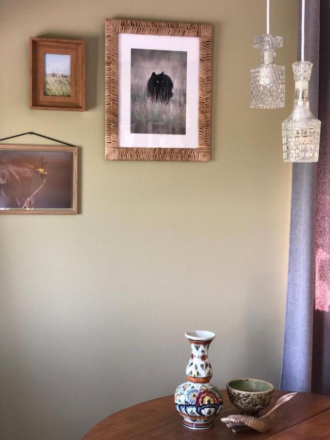 The Cat And The Owl B&B フルンロー エクステリア 写真